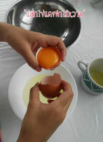 แยกไข่แดง